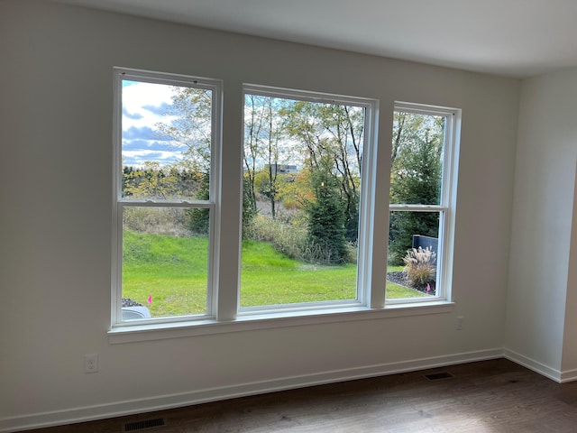 spare room with a healthy amount of sunlight and dark hardwood / wood-style floors