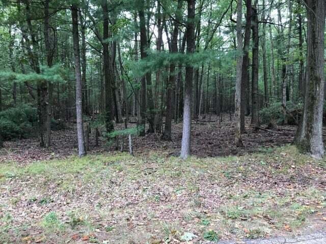 Meadow Wood Dr, Manistee MI, 49660 land for sale