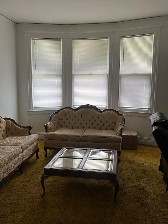 carpeted living room featuring a baseboard radiator