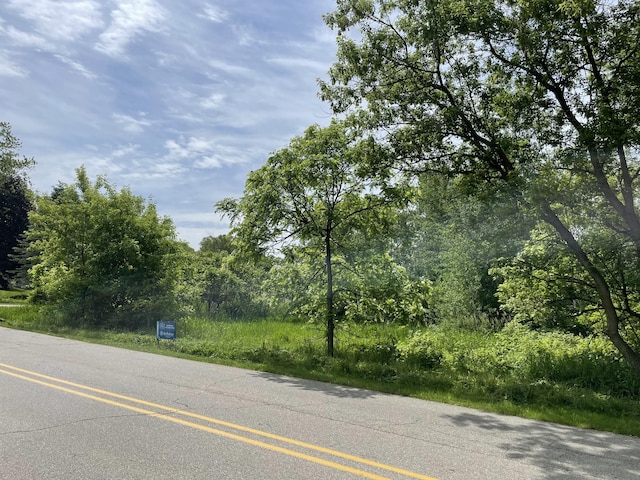 VL Elm St, New Era MI, 49446 land for sale