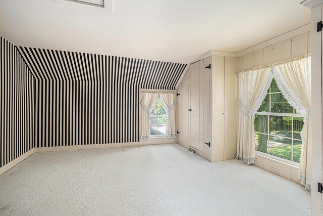 bonus room with light colored carpet