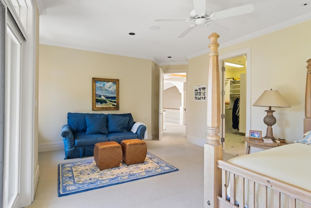 carpeted bedroom featuring a walk in closet, ornamental molding, a closet, and ceiling fan