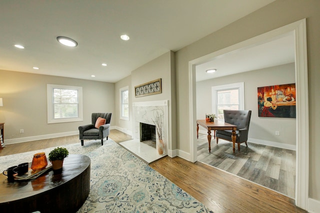 living room featuring plenty of natural light, hardwood / wood-style floors, and a fireplace