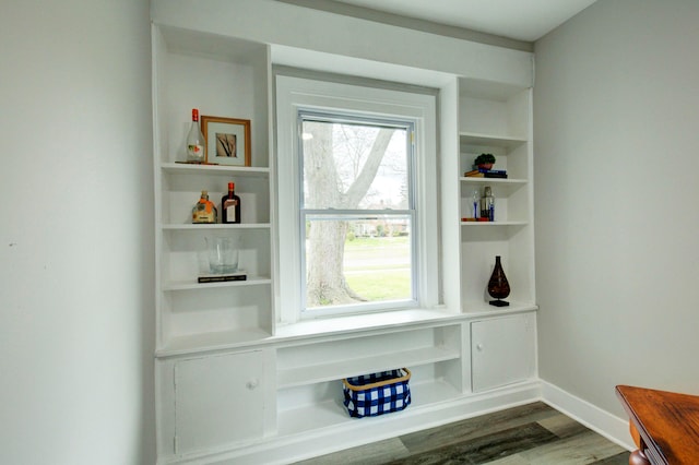 mudroom with a healthy amount of sunlight and dark wood-type flooring