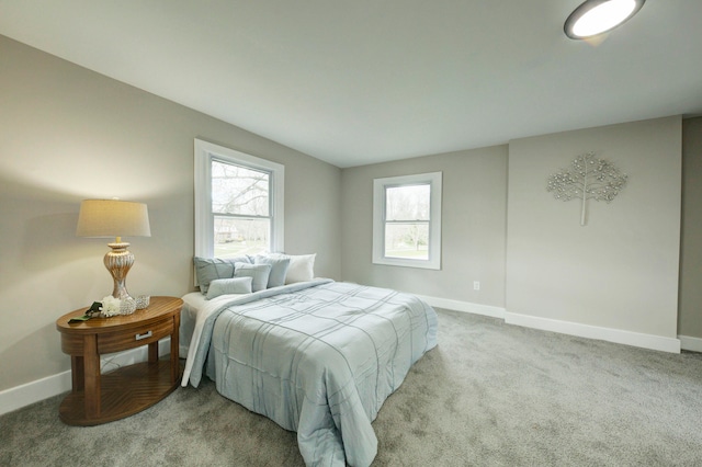 bedroom featuring carpet