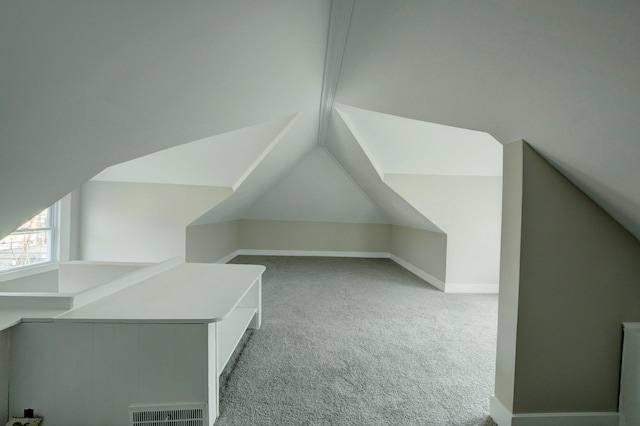 additional living space with carpet and vaulted ceiling