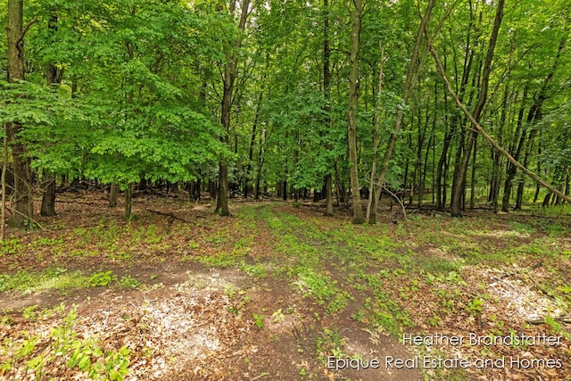 4323 Woodside Oaks Dr SE, Grand Rapids, MI 49546 - photo 4