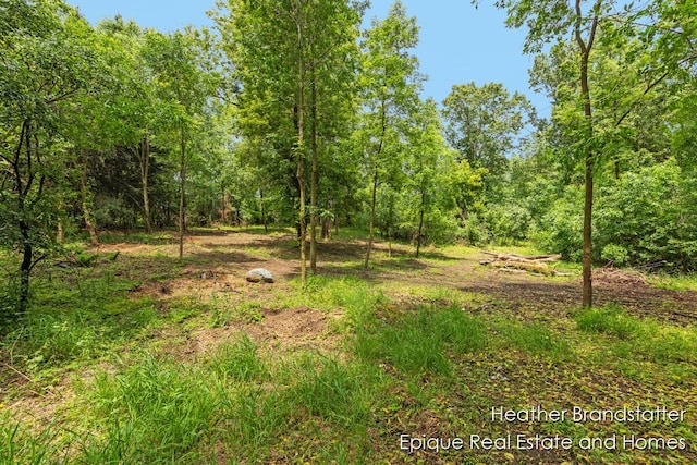 4323 Woodside Oaks Dr SE, Grand Rapids, MI 49546 - photo 6