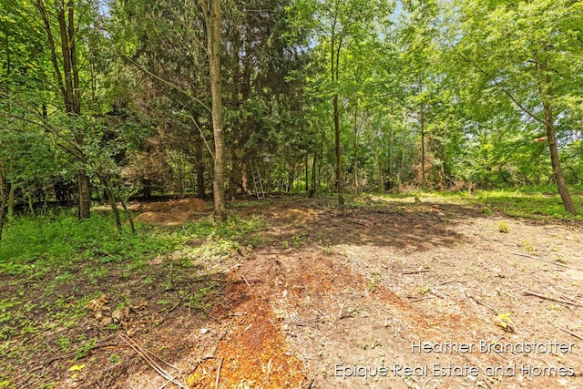 4323 Woodside Oaks Dr SE, Grand Rapids, MI 49546 - photo 7