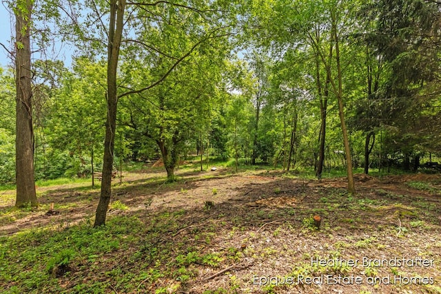 4323 Woodside Oaks Dr SE, Grand Rapids, MI 49546 - photo 9