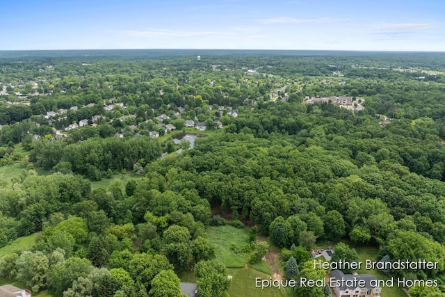 4323 Woodside Oaks Dr SE, Grand Rapids, MI 49546 - photo 16
