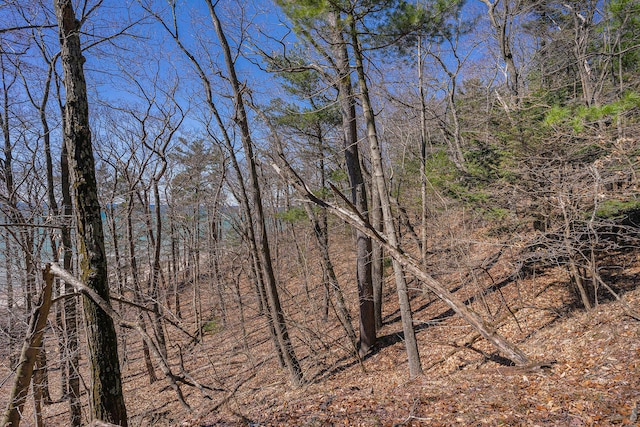 LotK Hemlock Trail, Shelby, MI 49455