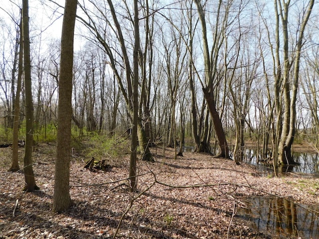 view of landscape with a water view