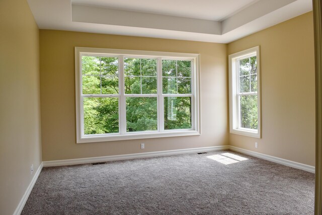 spare room featuring a tray ceiling and carpet