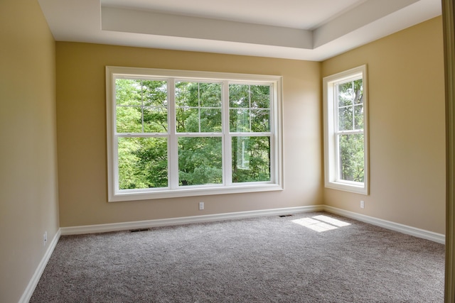 carpeted empty room featuring baseboards