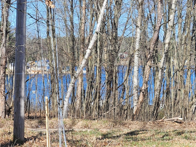 view of water feature