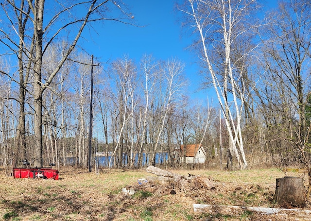 view of yard featuring a storage shed