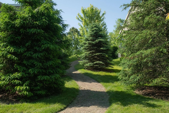 exterior space with a lawn