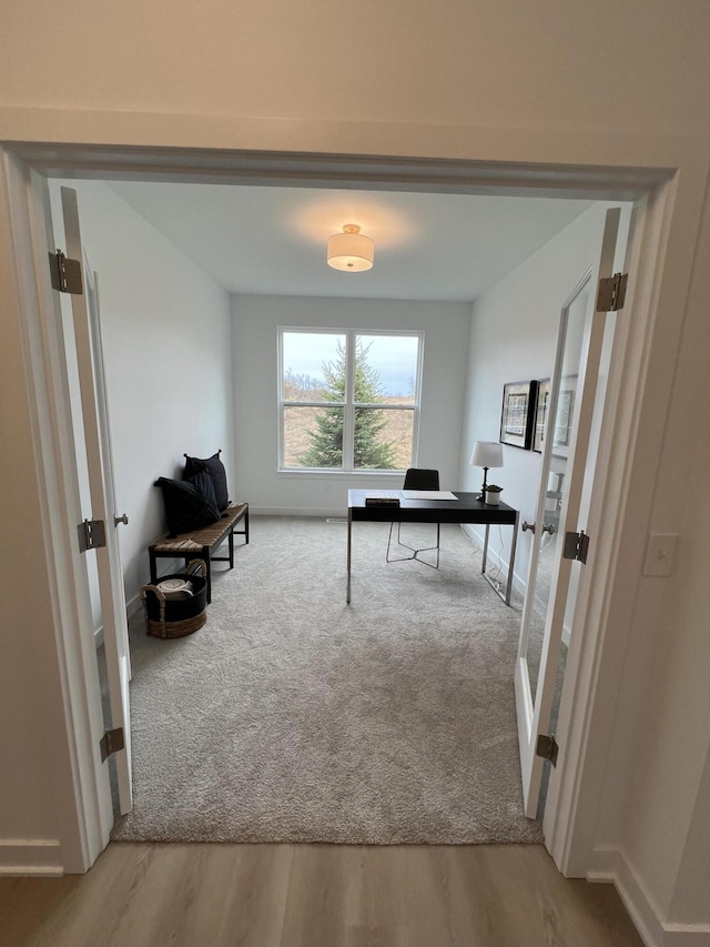 office space featuring light hardwood / wood-style flooring