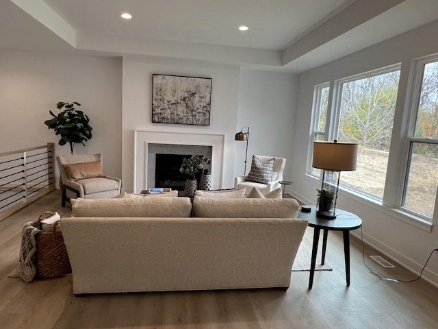 living room featuring a raised ceiling, a wealth of natural light, and hardwood / wood-style floors