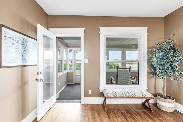 doorway with light hardwood / wood-style floors