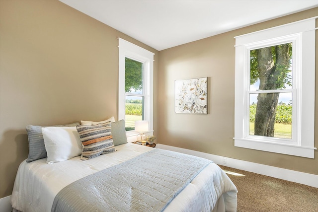 bedroom featuring carpet flooring