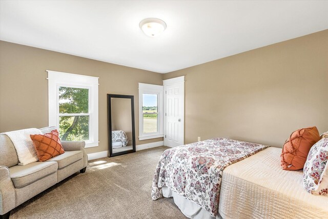 carpeted bedroom featuring multiple windows