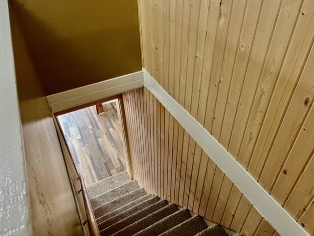 staircase featuring wooden walls