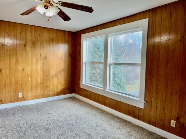 carpeted empty room featuring ceiling fan, wood walls, and a wealth of natural light