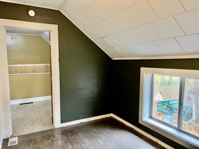 additional living space with dark colored carpet and lofted ceiling