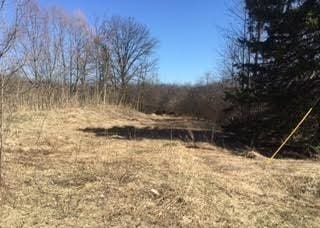 VL Lake Lane, White Lake, MI 48386