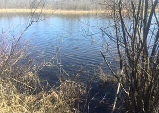 VL Lake Lane, White Lake, MI 48386