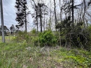 0 Red Arrow Hwy, Saint Joseph MI, 49085 land for sale