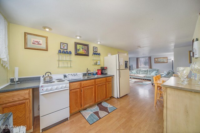 kitchen with light hardwood / wood-style flooring, white appliances, and sink