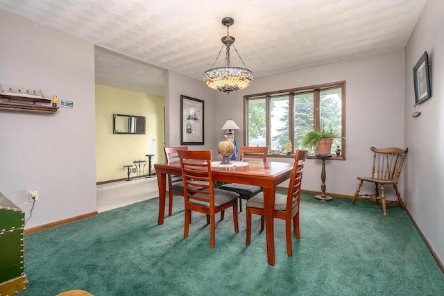 dining room featuring carpet