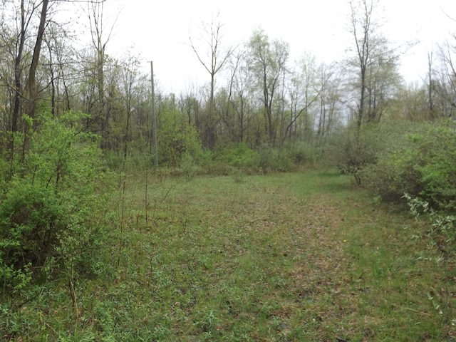 Listing photo 3 for V/L W Stanton Rd, Pierson MI 49339