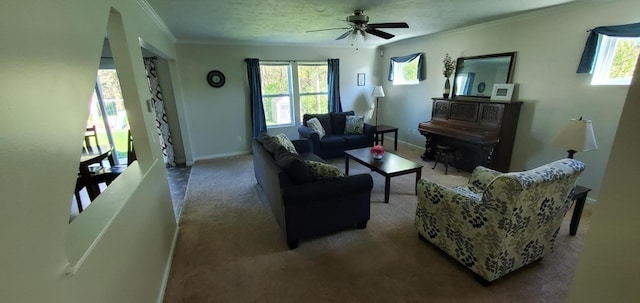 carpeted living room with ceiling fan and ornamental molding