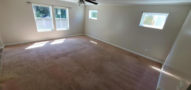 carpeted spare room with ceiling fan and crown molding