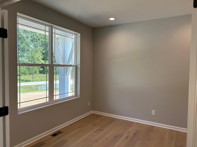 empty room featuring light wood-type flooring and a wealth of natural light