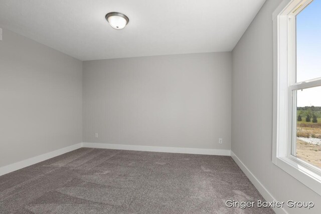 spare room with carpet floors