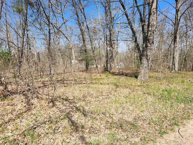 TBD S Princeton Way Ave, Baldwin MI, 49304 land for sale