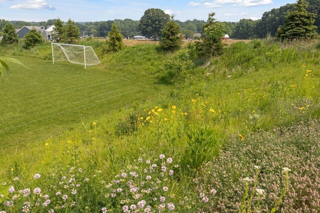 view of nature