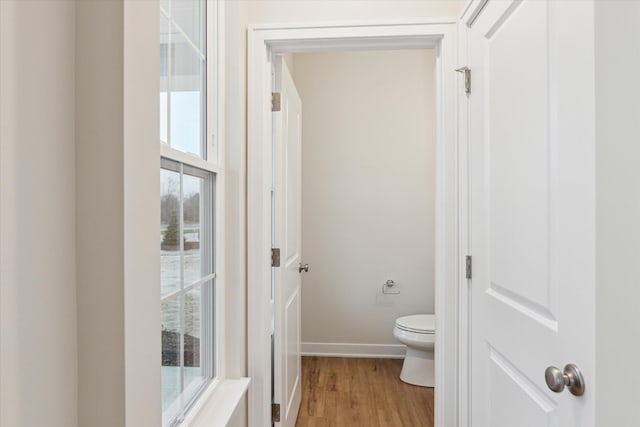 bathroom featuring wood-type flooring and toilet