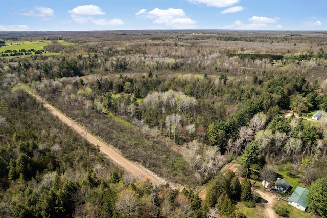 view of bird's eye view