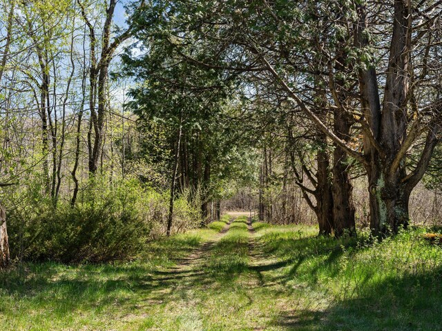 view of nature