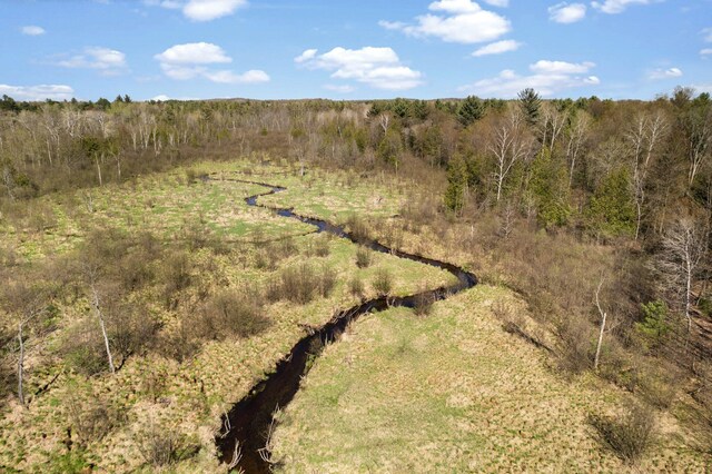 view of local wilderness