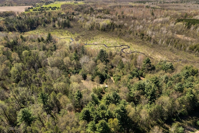 view of bird's eye view