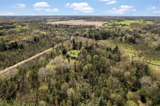 view of bird's eye view