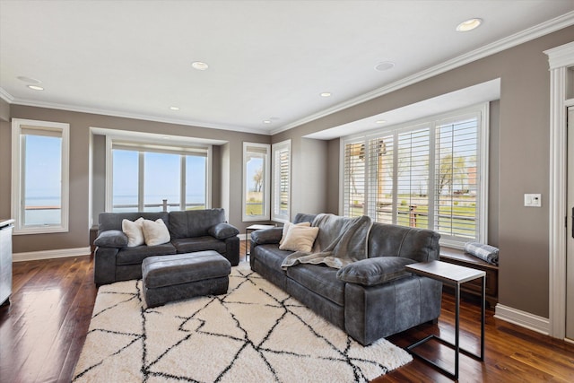 living room with ornamental molding and dark hardwood / wood-style flooring