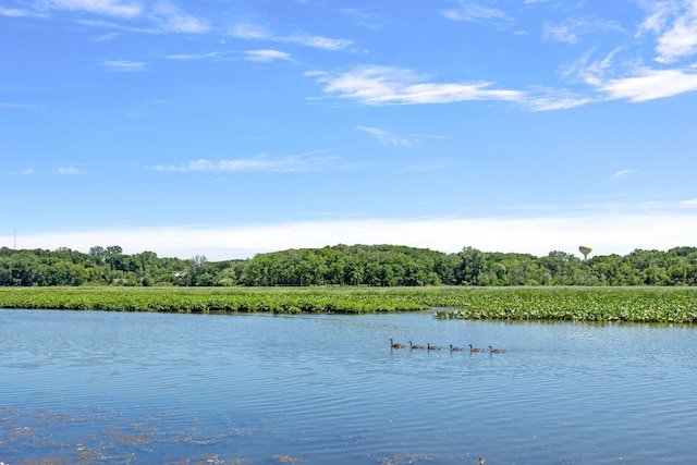 property view of water